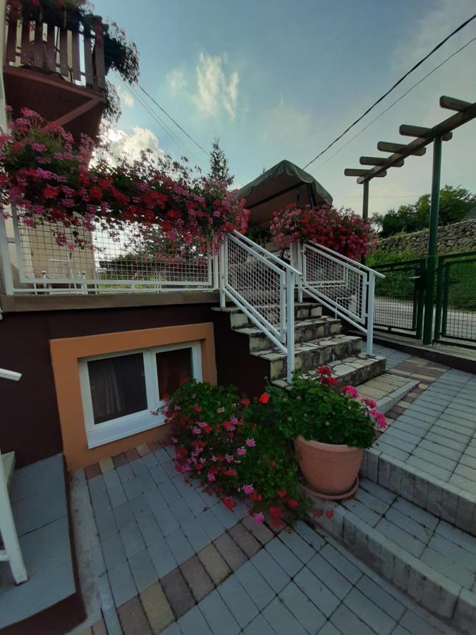 Bed and Breakfast Rozsakert Vendeghaz Сіглігет Екстер'єр фото