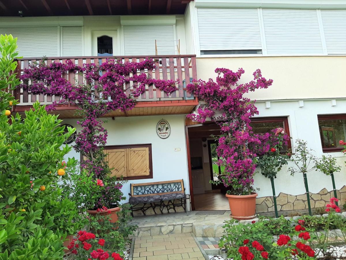 Bed and Breakfast Rozsakert Vendeghaz Сіглігет Екстер'єр фото