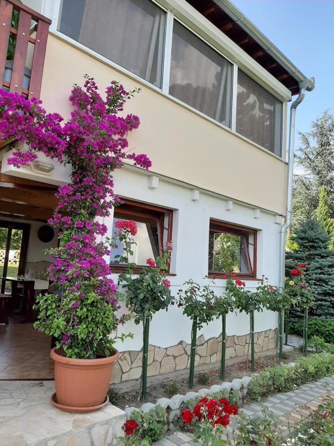 Bed and Breakfast Rozsakert Vendeghaz Сіглігет Екстер'єр фото