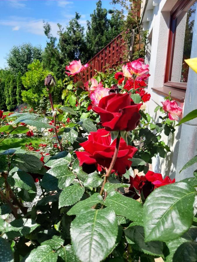 Bed and Breakfast Rozsakert Vendeghaz Сіглігет Екстер'єр фото