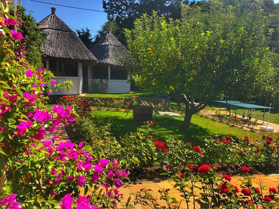 Bed and Breakfast Rozsakert Vendeghaz Сіглігет Екстер'єр фото